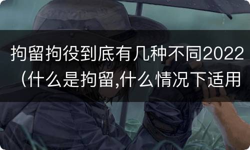 拘留拘役到底有几种不同2022（什么是拘留,什么情况下适用拘留）