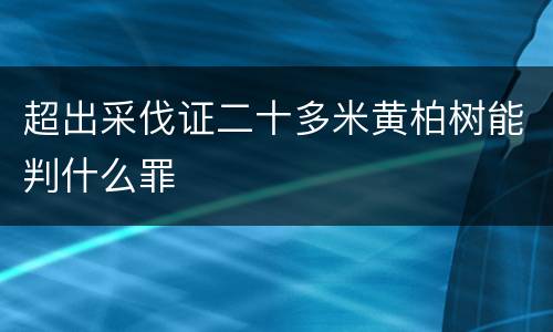 超出采伐证二十多米黄柏树能判什么罪