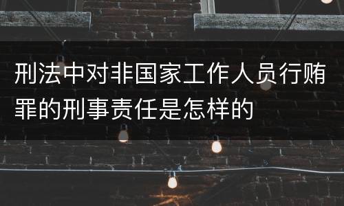 刑法中对非国家工作人员行贿罪的刑事责任是怎样的