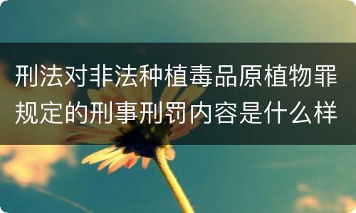 刑法对非法种植毒品原植物罪规定的刑事刑罚内容是什么样的
