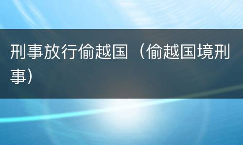 刑事放行偷越国（偷越国境刑事）