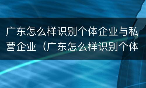 广东怎么样识别个体企业与私营企业（广东怎么样识别个体企业与私营企业的区别）