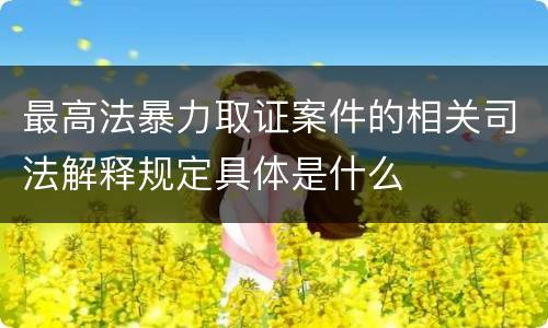最高法暴力取证案件的相关司法解释规定具体是什么
