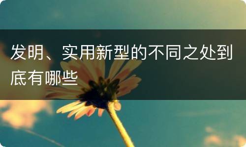发明、实用新型的不同之处到底有哪些
