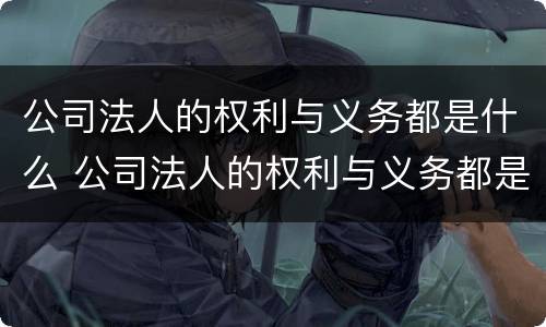 公司法人的权利与义务都是什么 公司法人的权利与义务都是什么意思