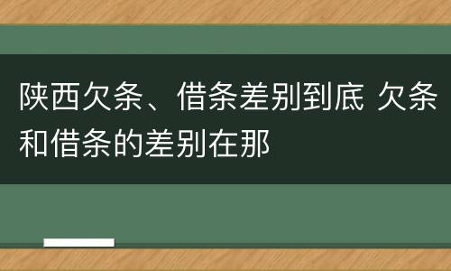 陕西欠条、借条差别到底 欠条和借条的差别在那