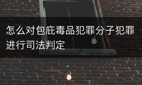 怎么对包庇毒品犯罪分子犯罪进行司法判定