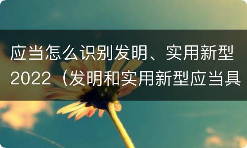 应当怎么识别发明、实用新型2022（发明和实用新型应当具备）