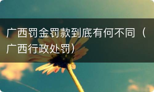 广西罚金罚款到底有何不同（广西行政处罚）