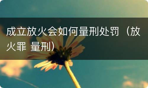 成立放火会如何量刑处罚（放火罪 量刑）