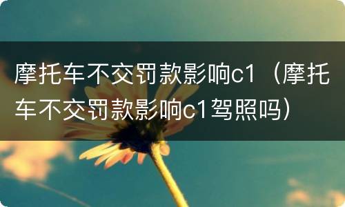 摩托车不交罚款影响c1（摩托车不交罚款影响c1驾照吗）