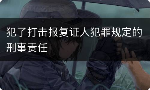 犯了打击报复证人犯罪规定的刑事责任