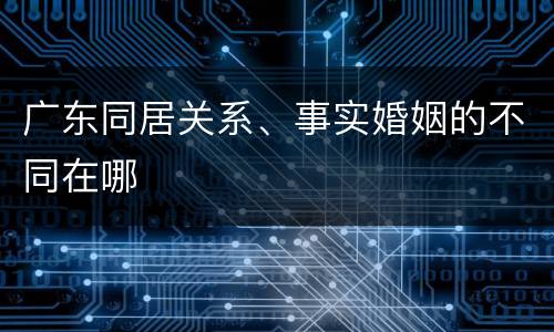 广东同居关系、事实婚姻的不同在哪