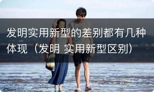 发明实用新型的差别都有几种体现（发明 实用新型区别）