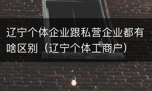 辽宁个体企业跟私营企业都有啥区别（辽宁个体工商户）