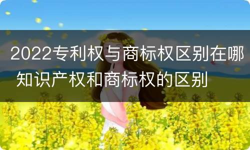 2022专利权与商标权区别在哪 知识产权和商标权的区别