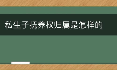私生子抚养权归属是怎样的
