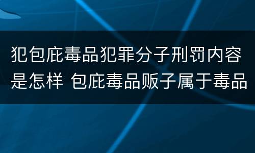 犯包庇毒品犯罪分子刑罚内容是怎样 包庇毒品贩子属于毒品犯罪吗