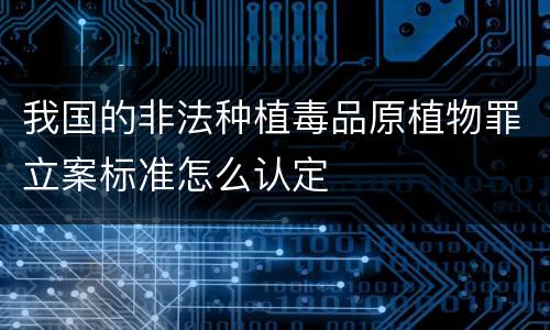 我国的非法种植毒品原植物罪立案标准怎么认定