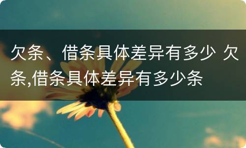 欠条、借条具体差异有多少 欠条,借条具体差异有多少条