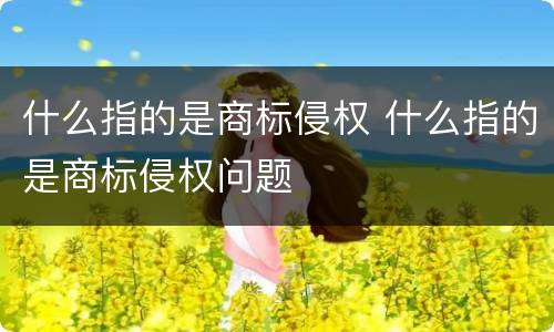 什么指的是商标侵权 什么指的是商标侵权问题