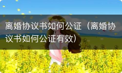 离婚协议书如何公证（离婚协议书如何公证有效）