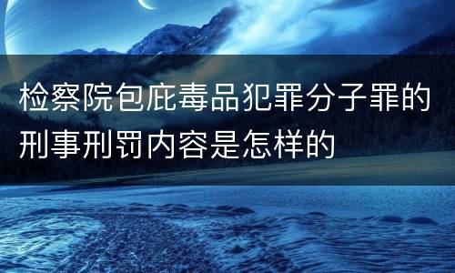 检察院包庇毒品犯罪分子罪的刑事刑罚内容是怎样的