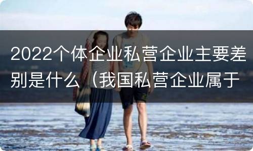 2022个体企业私营企业主要差别是什么（我国私营企业属于）