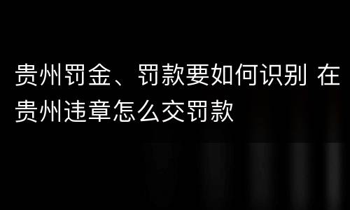 贵州罚金、罚款要如何识别 在贵州违章怎么交罚款