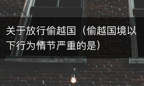 关于放行偷越国（偷越国境以下行为情节严重的是）