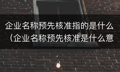 企业名称预先核准指的是什么（企业名称预先核准是什么意思）