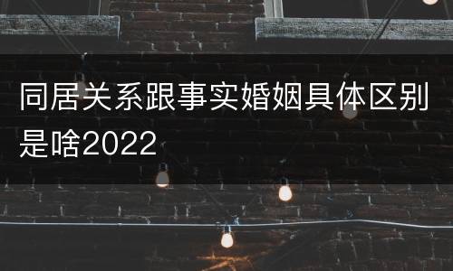 同居关系跟事实婚姻具体区别是啥2022