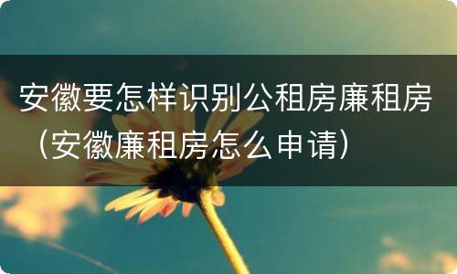 安徽要怎样识别公租房廉租房（安徽廉租房怎么申请）