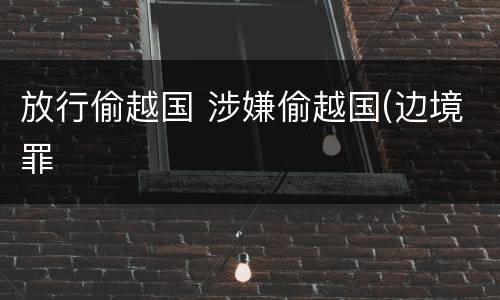 放行偷越国 涉嫌偷越国(边境罪