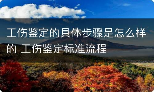 工伤鉴定的具体步骤是怎么样的 工伤鉴定标准流程
