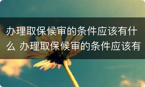 办理取保候审的条件应该有什么 办理取保候审的条件应该有什么要求