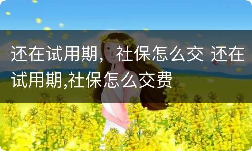 还在试用期，社保怎么交 还在试用期,社保怎么交费