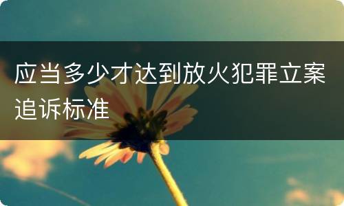 应当多少才达到放火犯罪立案追诉标准