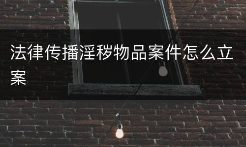 法律传播淫秽物品案件怎么立案