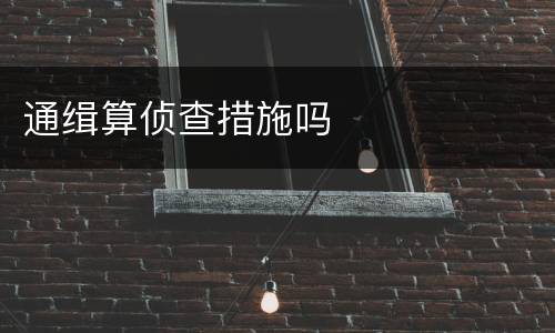 通缉算侦查措施吗