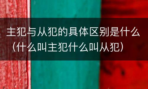 主犯与从犯的具体区别是什么（什么叫主犯什么叫从犯）