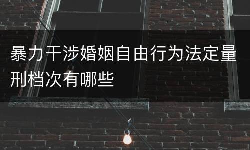 暴力干涉婚姻自由行为法定量刑档次有哪些
