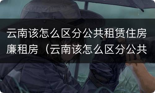 云南该怎么区分公共租赁住房廉租房（云南该怎么区分公共租赁住房廉租房和住宅）