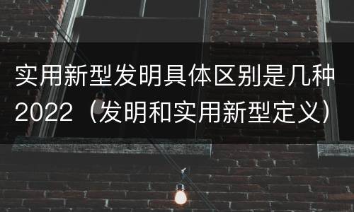 实用新型发明具体区别是几种2022（发明和实用新型定义）