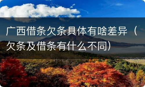 广西借条欠条具体有啥差异（欠条及借条有什么不同）