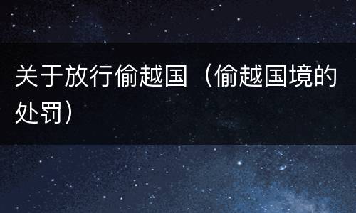 关于放行偷越国（偷越国境的处罚）