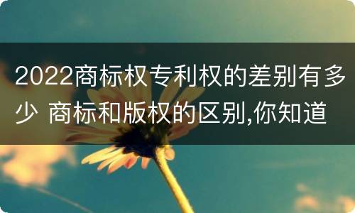 2022商标权专利权的差别有多少 商标和版权的区别,你知道多少?