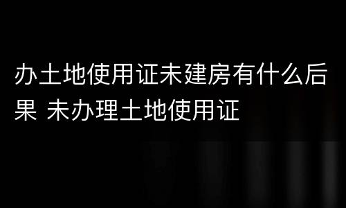 办土地使用证未建房有什么后果 未办理土地使用证