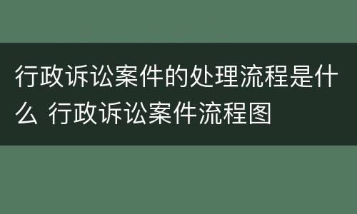 行政诉讼案件的处理流程是什么 行政诉讼案件流程图