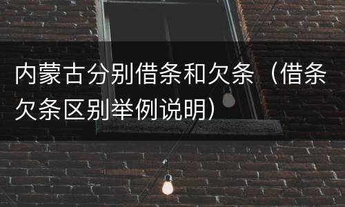 内蒙古分别借条和欠条（借条欠条区别举例说明）